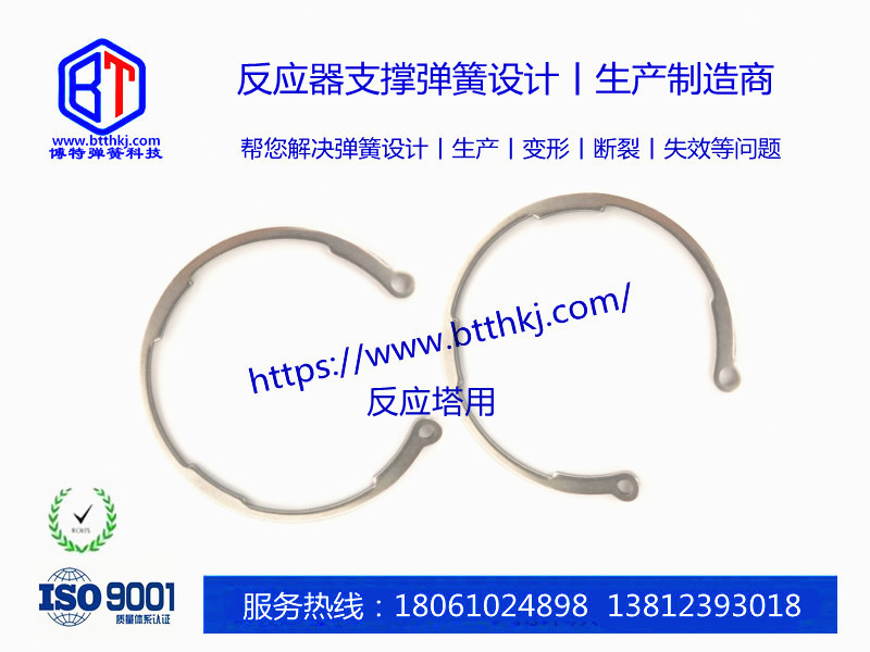 反應(yīng)塔專(zhuān)用卡簧