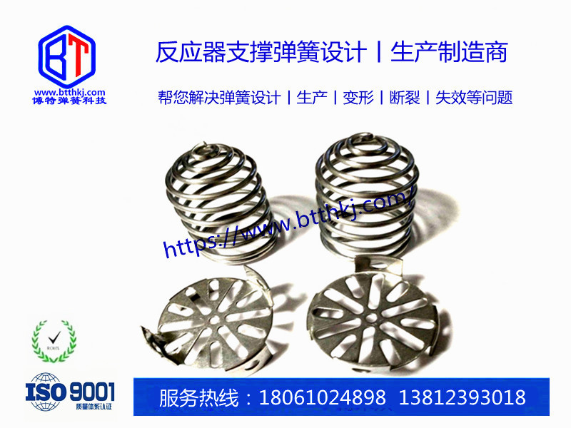 反應(yīng)塔專(zhuān)用支撐彈簧片